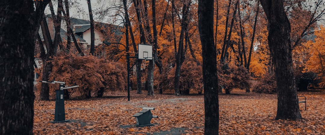 The Ultimate Guide to Choosing Quality Home Essentials Online The Ultimate Guide to Choosing Quality Home Essentials Online